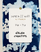 Atelier au magasin - Cyanotype - 22 ao�t 26