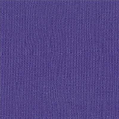 Bazzill Canvas Purple
