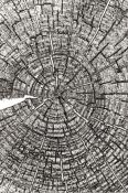 Gaufrage 3D texture fades A6 "tree rings" (cernes d'arbre)