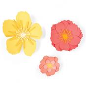 Dies "explosion de fleurs