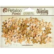 Fleurs Petaloo Darjeeling : Mini Pearl Daisy - Shabby Beige