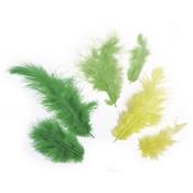 assortiment de plumes teintes vertes