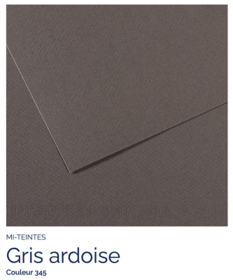 Mi-Teintes - Gris ardoise (345)