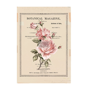 Transferts Dcors <br> Beautiful Botanist