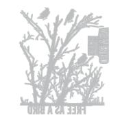 Seth Apter thinlits die - Free bird