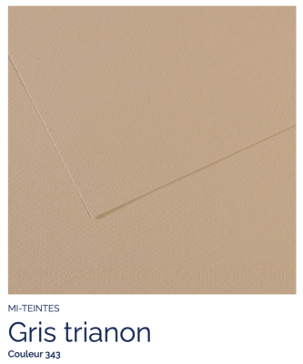 Mi-Teintes - Gris trianon (343)