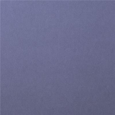 10 feuilles<br>Steel