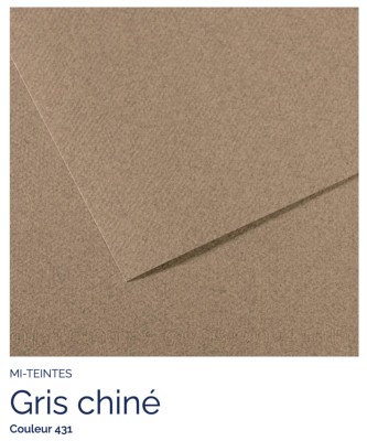 Mi-Teintes - Gris chiné (431)