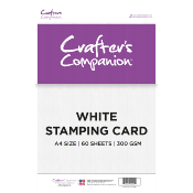 60 feuilles A4 300gsm