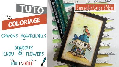 tuto colorisation supracolor carandache et doudou chou and flowers toutencolle